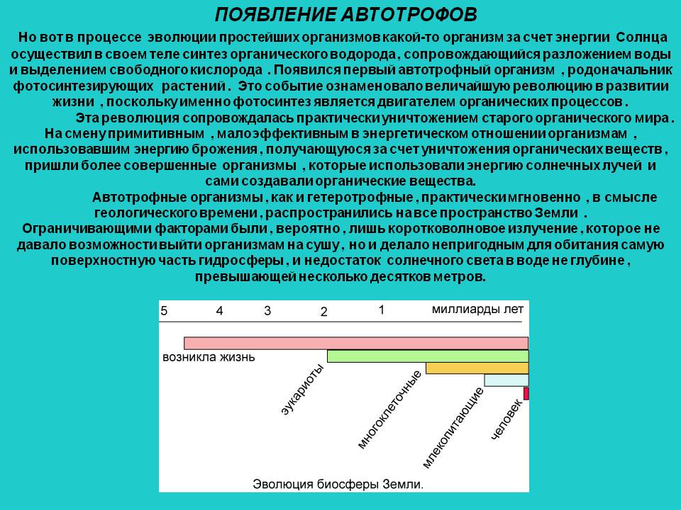 Появление автотрофов