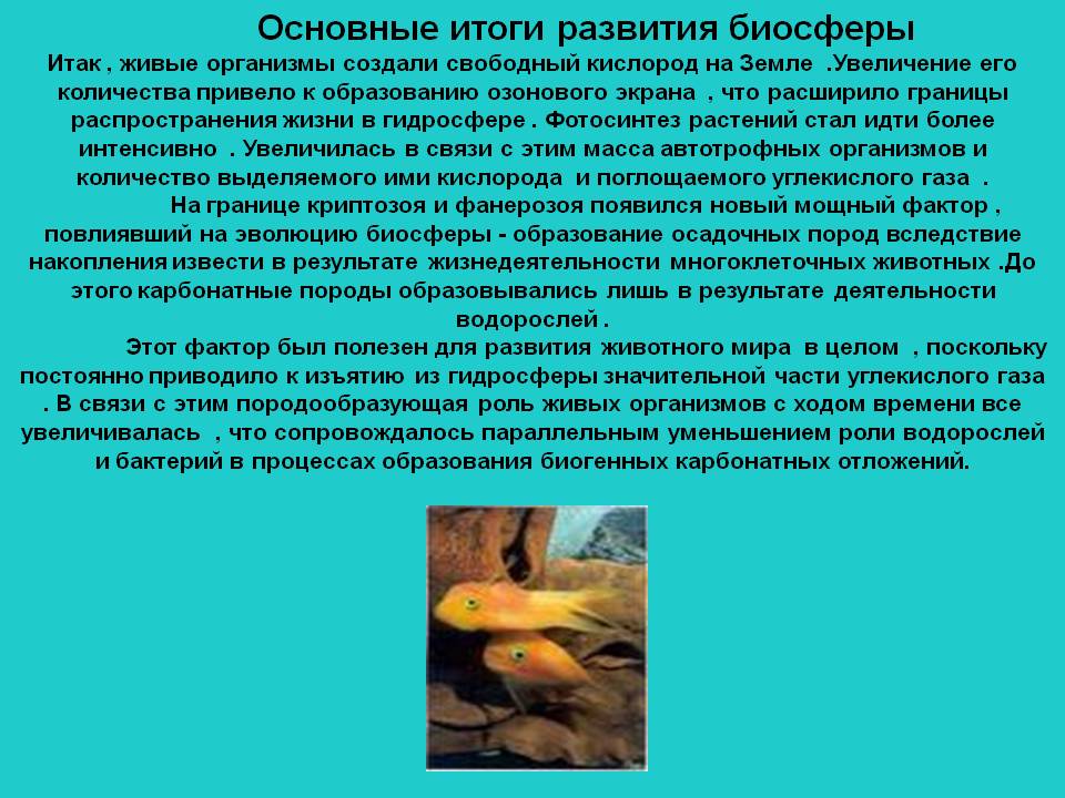 Основные итоги развития биосферы