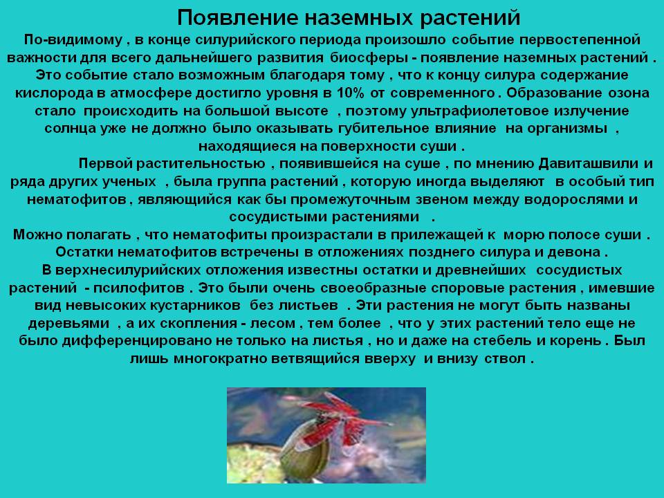Появление наземных растений