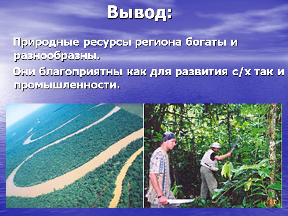Вывод: