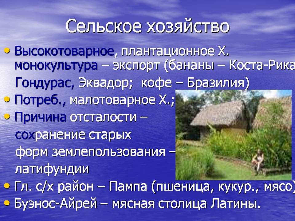 Сельское хозяйство