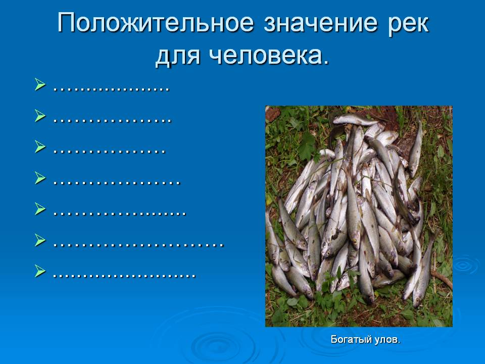 Положительное значение рек для человека