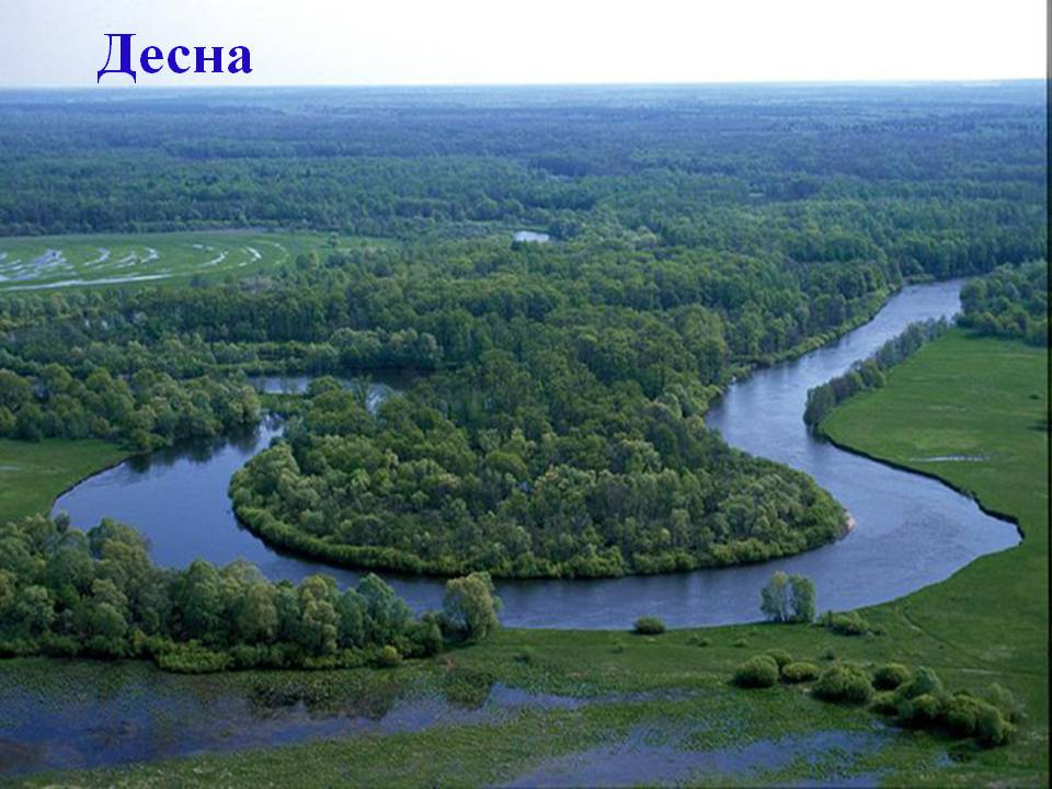 Десна