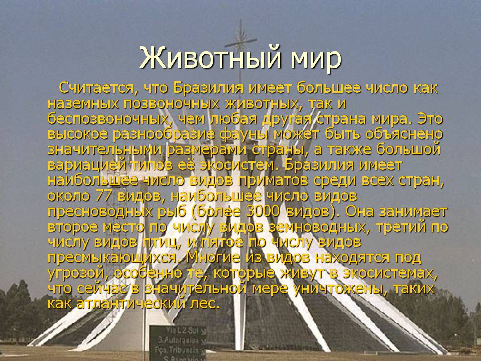 Животный мир