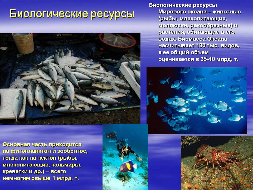 Биологические ресурсы