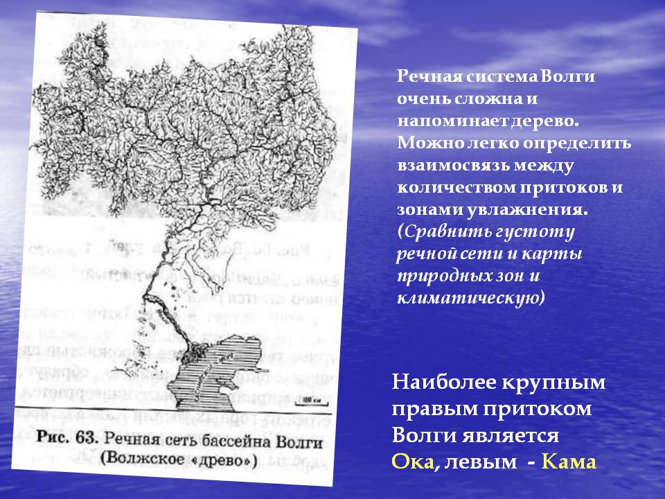 Наиболее крупным правым притоком Волги является Ока, левым - Кама