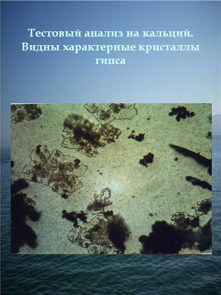 Тестовый анализ на кальций