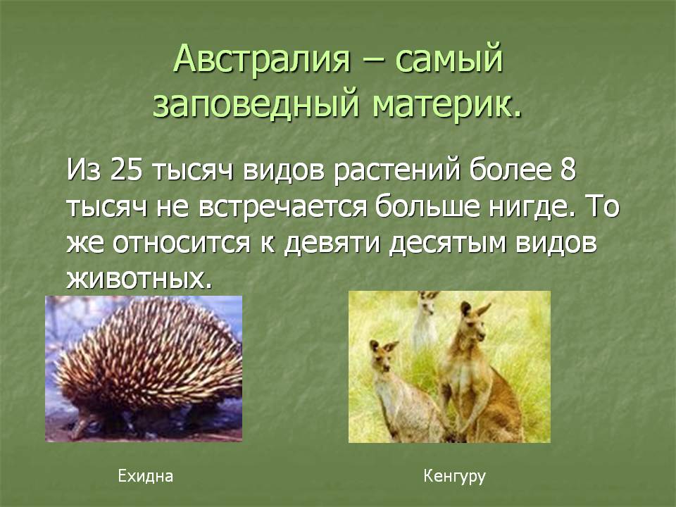 Самый заповедный материк