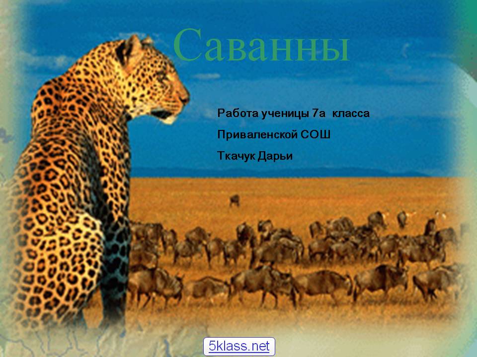 Саванны