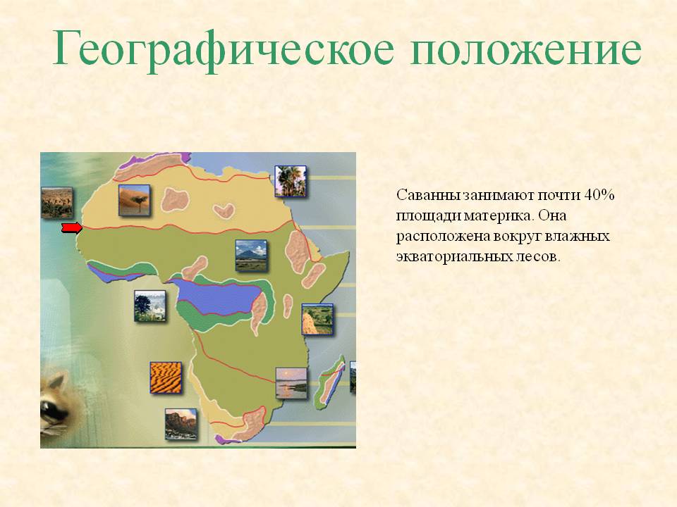 Географическое положение