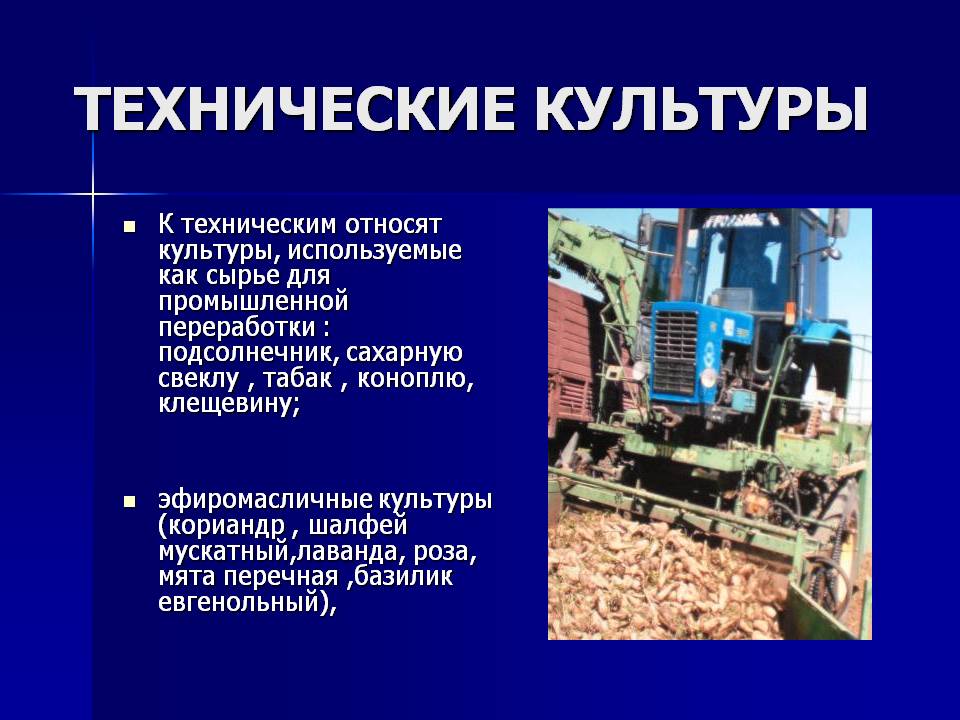 Технические культуры