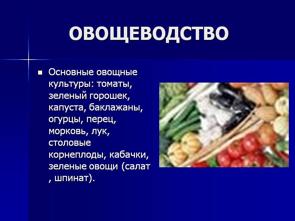 Овощеводство