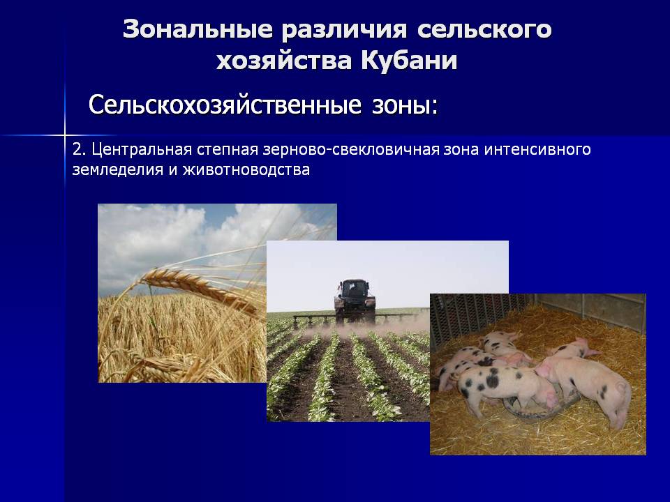 Зональные различия сельского хозяйства Кубани