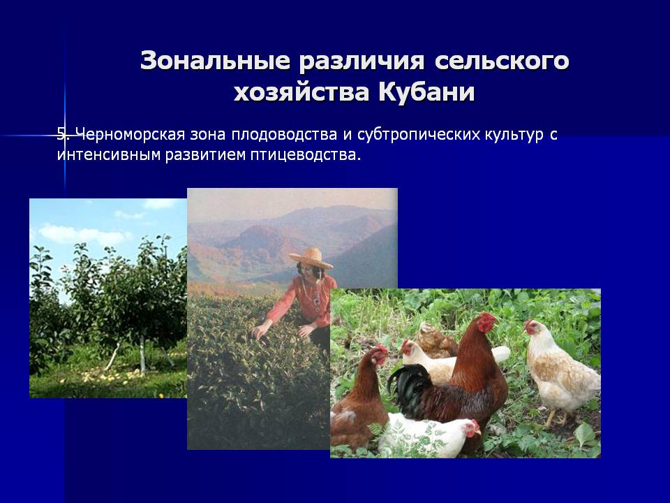 Зональные различия сельского хозяйства Кубани