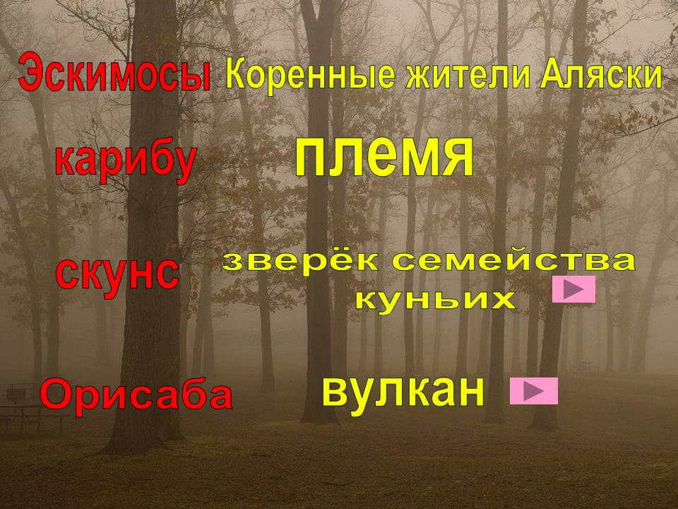 Эскимосы