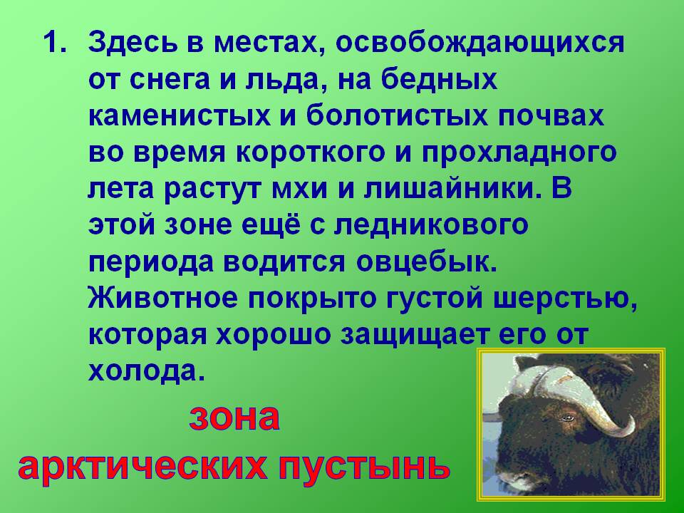 Зона арктических пустынь