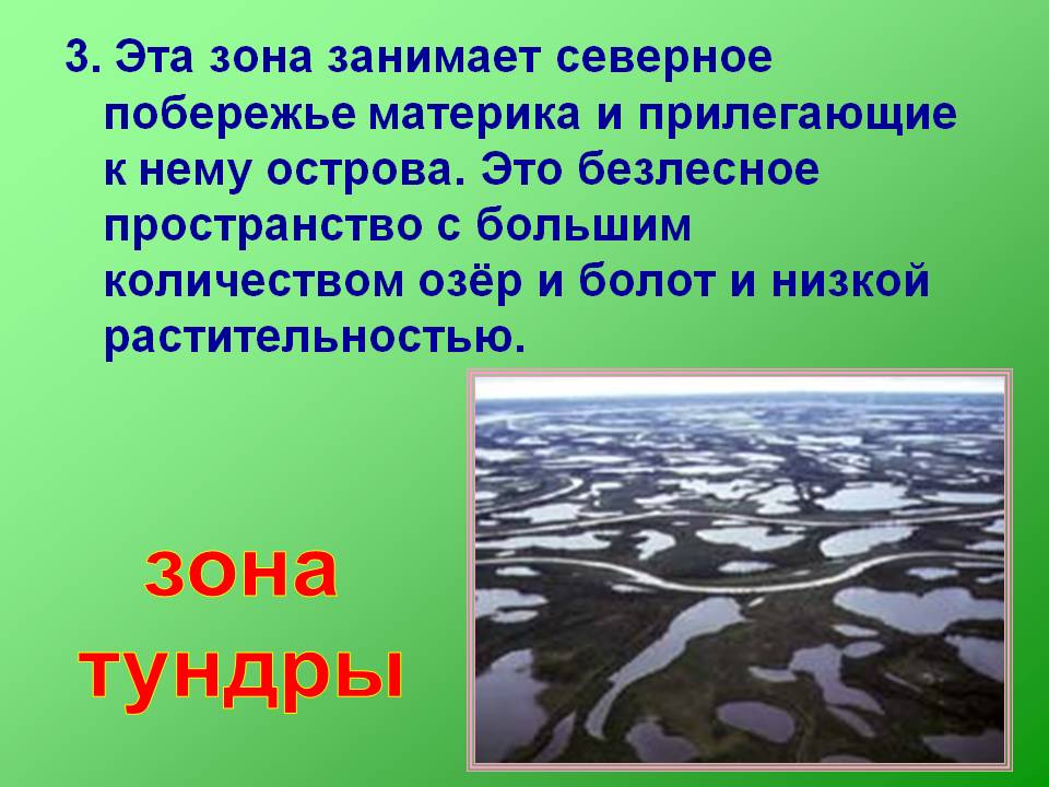 Зона тундры