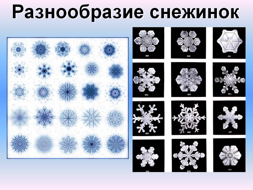 Разнообразие снежинок
