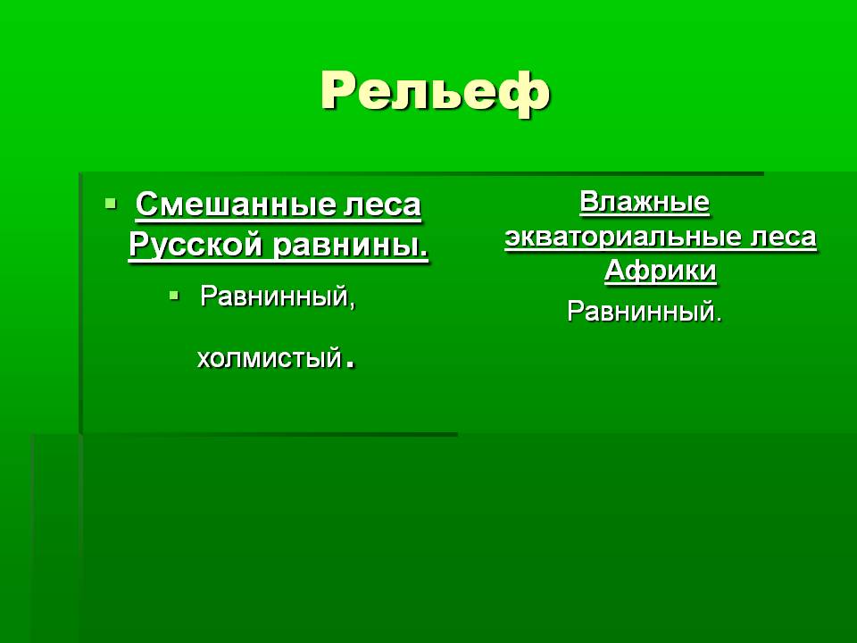 Смешанные леса Русской равнины