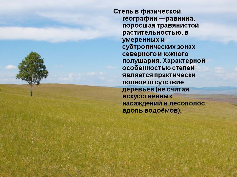Равнина