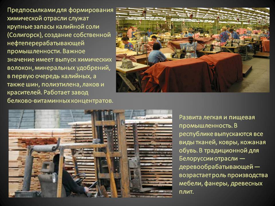 Предпосылками для формирования химической отрасли служат крупные