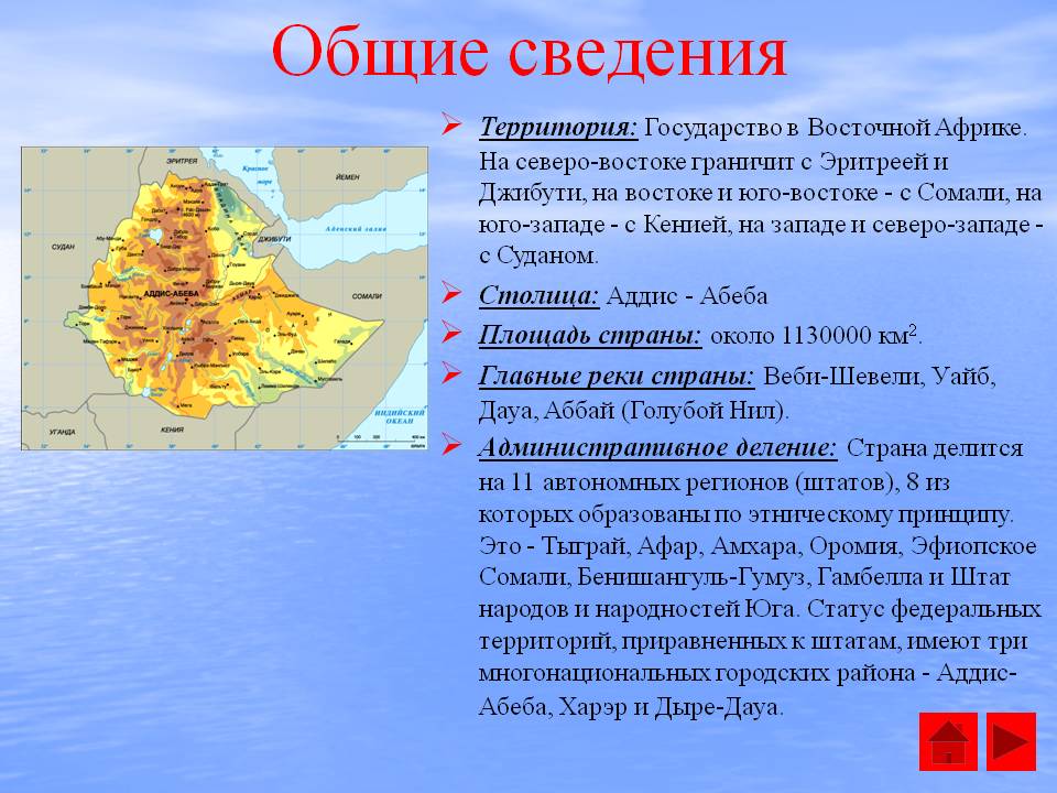 Общие сведения