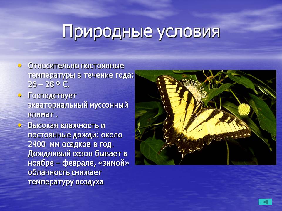 Природные условия