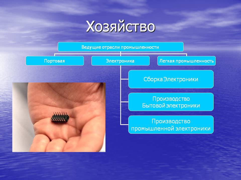 Хозяйство