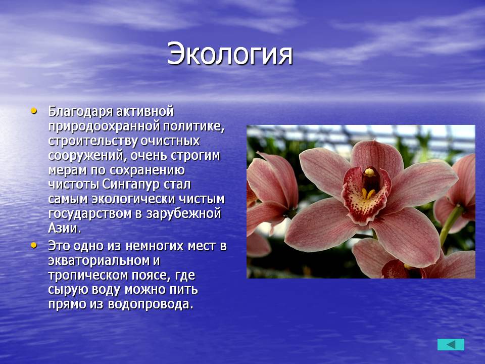 Экология