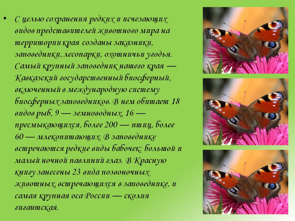 Заказники
