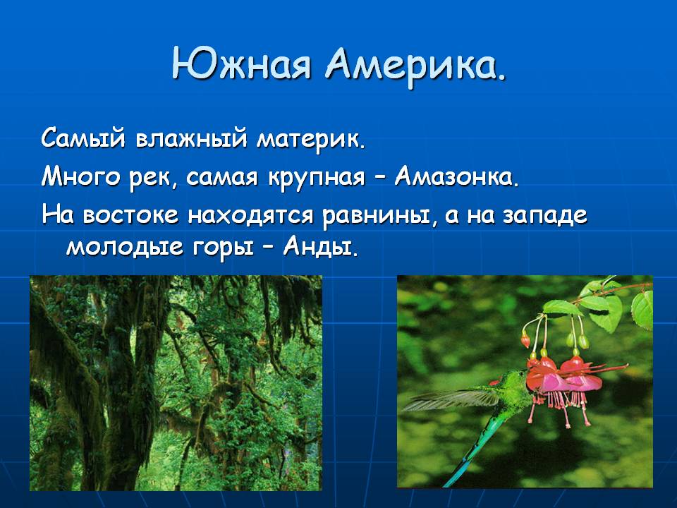 Южная Америка