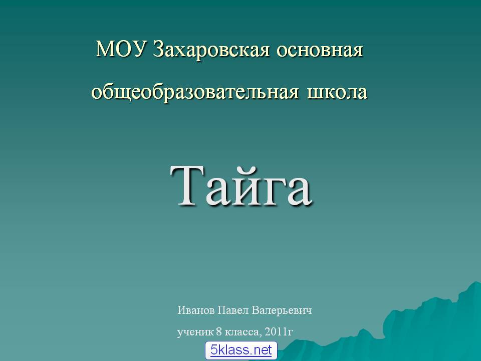 Тайга
