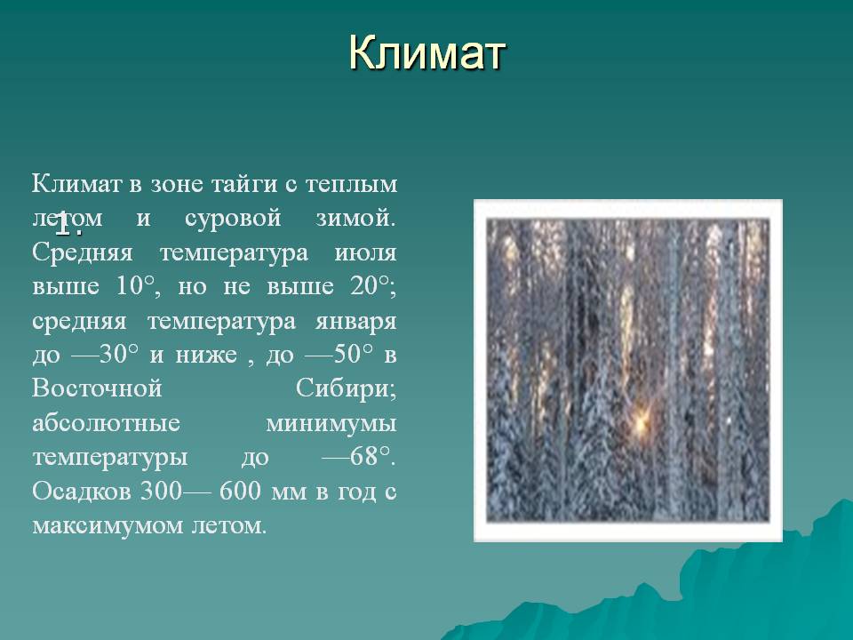 Климат