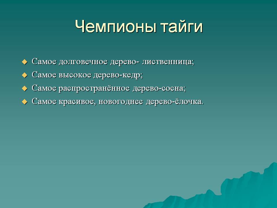 Чемпионы тайги