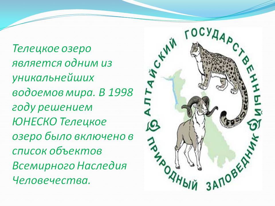 Телецкое озеро является одним из уникальнейших водоемов мира