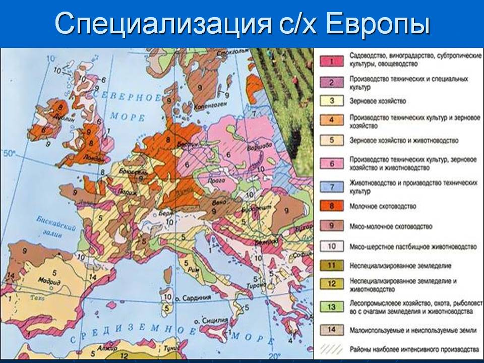 Специализация с/х Европы