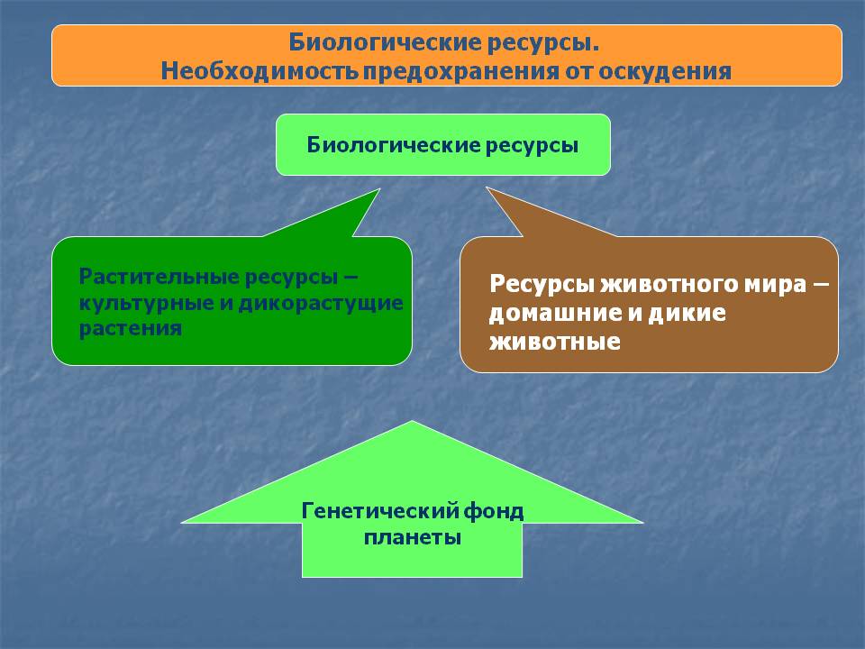 Биологические ресурсы
