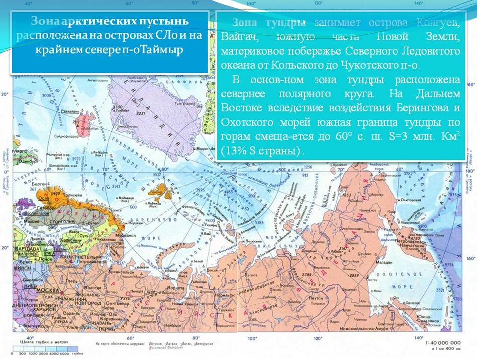 Тундра 8 класс