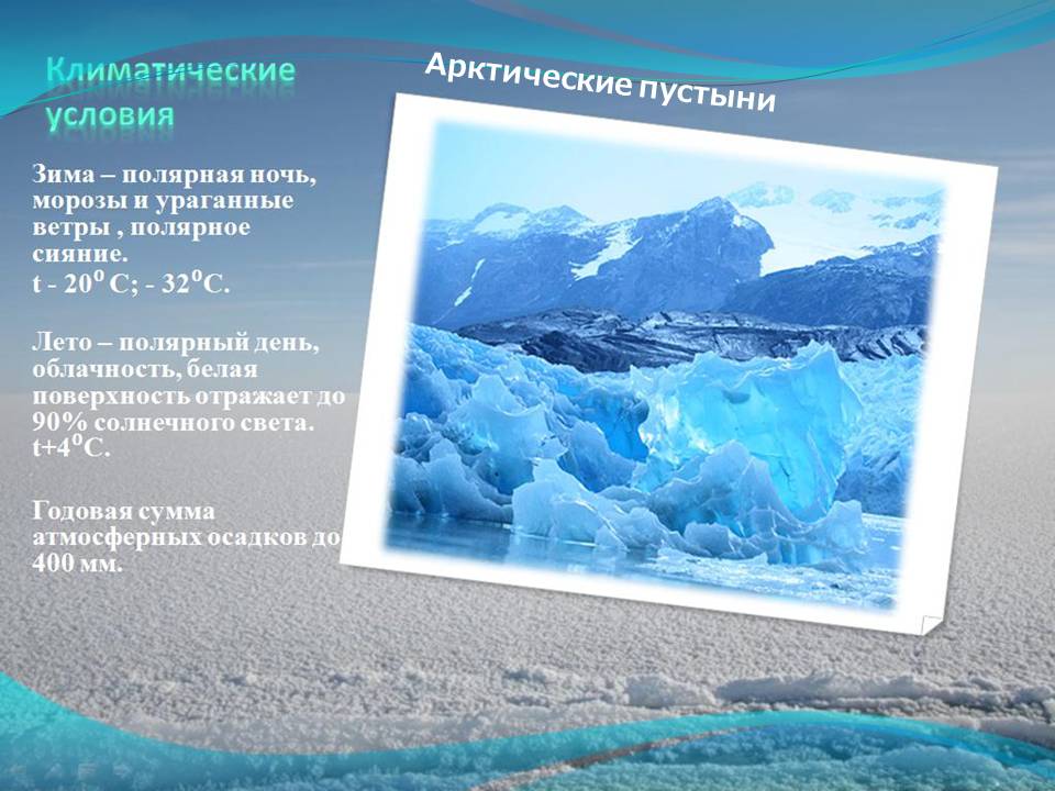 Арктические пустыни