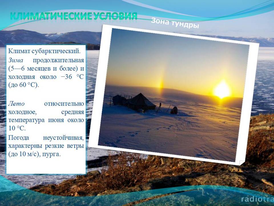 Зона тундры