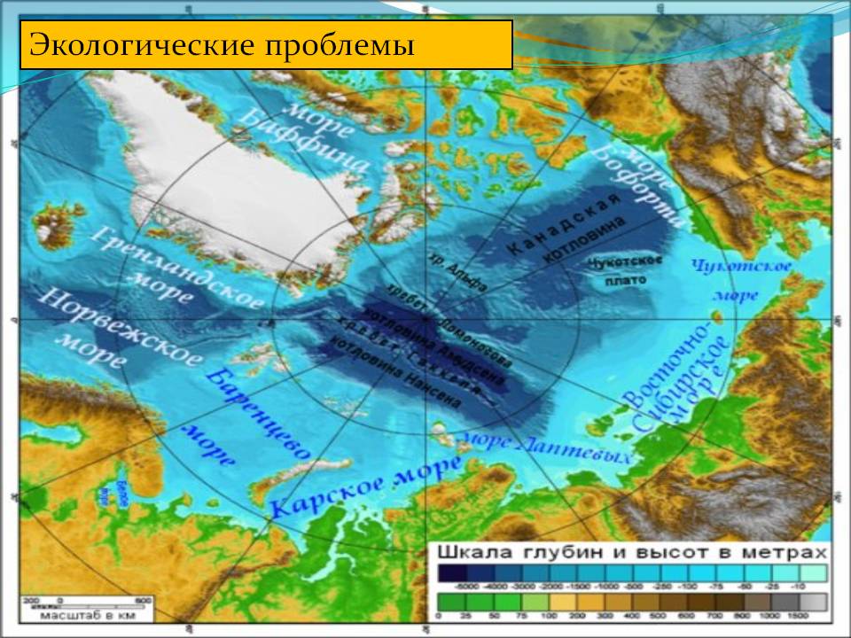 Экологические проблемы