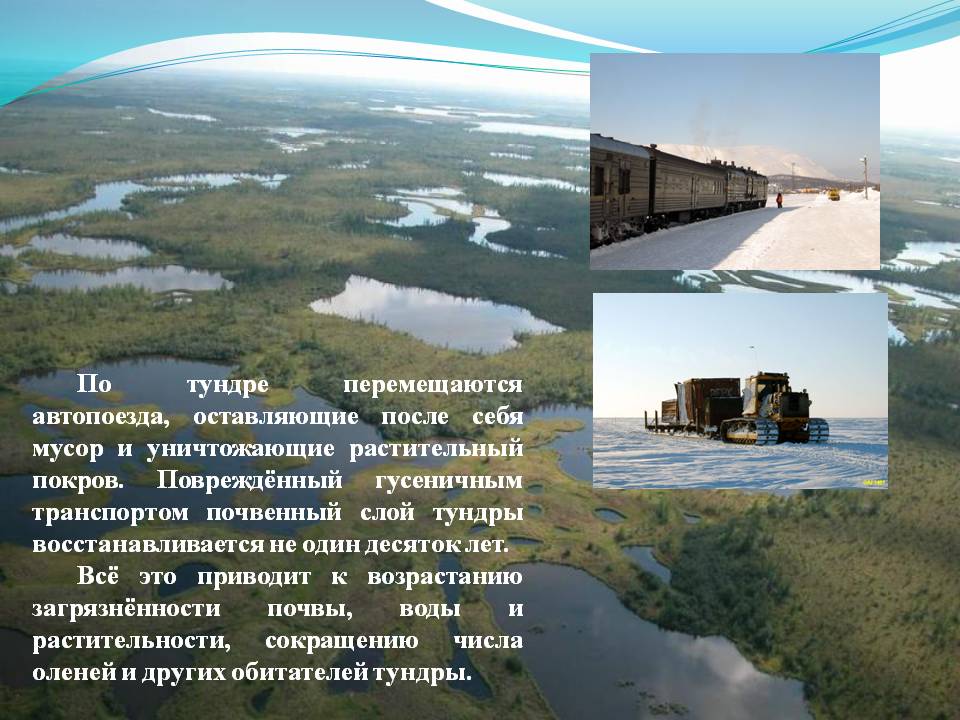 По тундре перемещаются автопоезда, оставляющие после себя мусор и