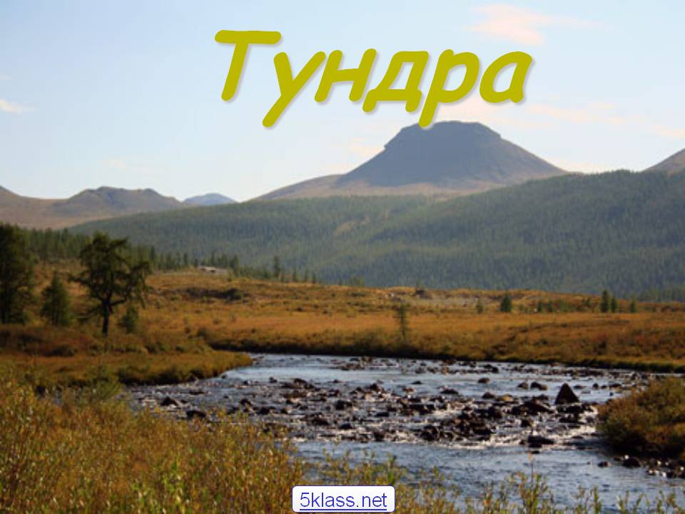 Тундра