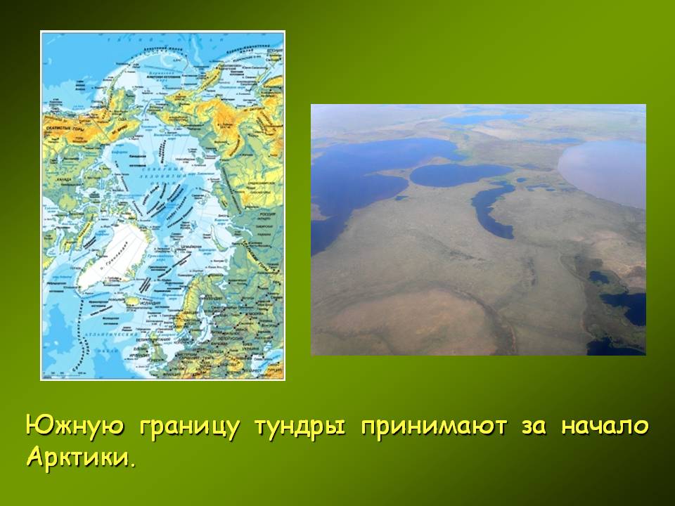 Южную границу тундры принимают за начало Арктики