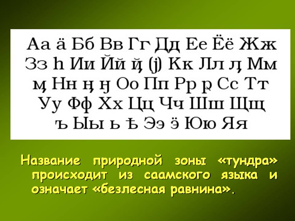 Название природной зоны «тундра» происходит из саамского языка и