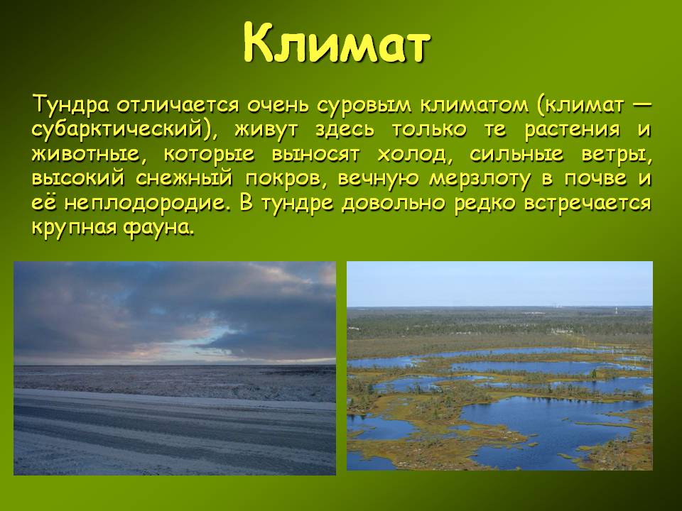 Климат
