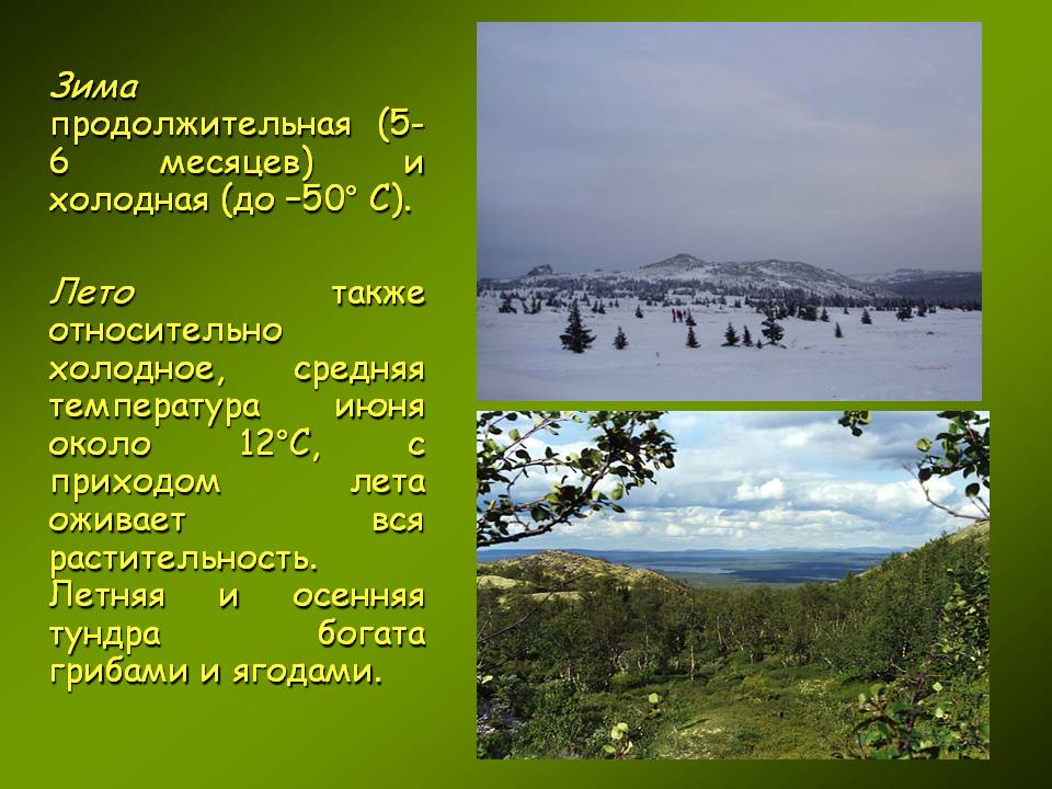 Зима продолжительная (5-6 месяцев) и холодная (до 