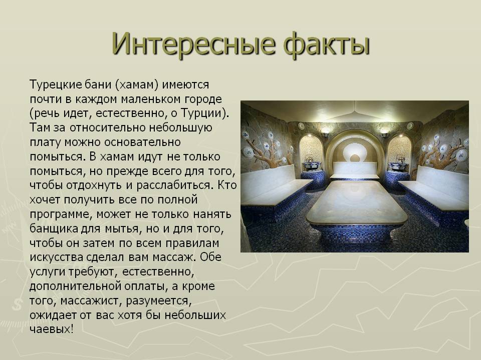 Интересные факты