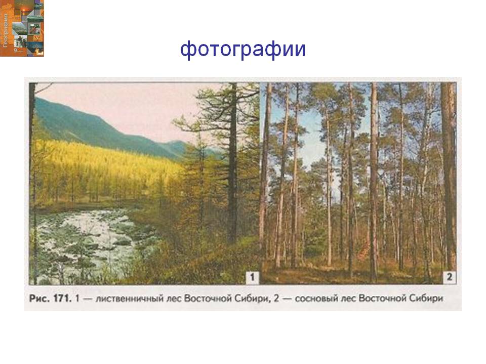 Фотографии