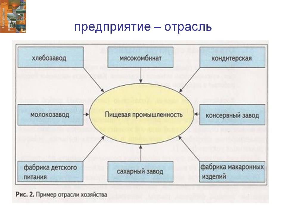 Предприятие – отрасль